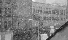 聒碎乡心梦不成_700字