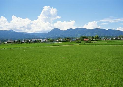 田园诗般的风景：田园风景_400字