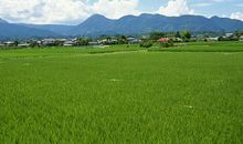 关于田园风光的作文：田园风光_400字