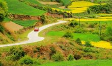 关于田园风光的作文：田园风光独好_500字