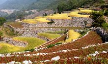 关于田园风光的作文：田园风光美如画_450字