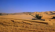 关于田园风光的作文：田园风光_350字