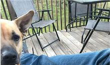 [7月渴望]我渴望回到十年前_700字