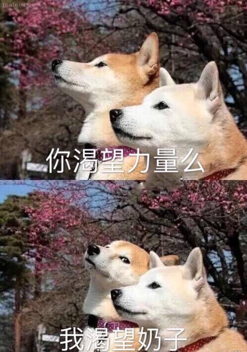 [七月欲望]我渴望参加考试_550字