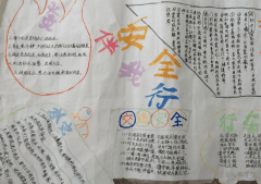 安全与我_400字