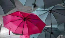 雨伞的灵魂_600字