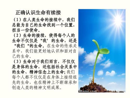 安全构成：安全，永恒_1000字