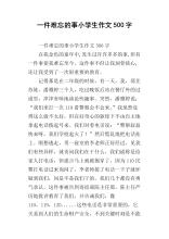 一个难忘的东西_500字