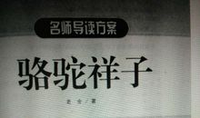 在心底绽放一朵理想之花——读《骆驼祥子》有感_2000字