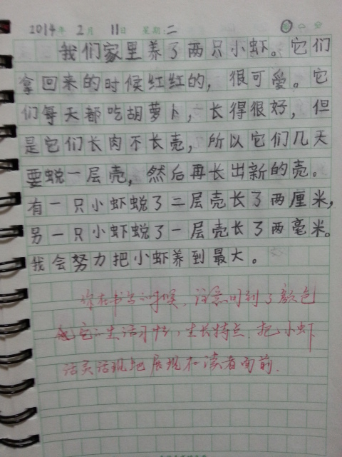 高毅直接：禁令_750字