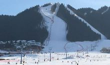 高一日记：滑雪_1200字