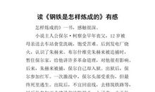 读《钢铁是怎样炼成的》有感_1500字