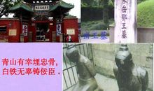 青山埋忠骨_3000字