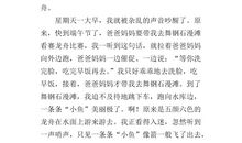 快乐的端午节_300字