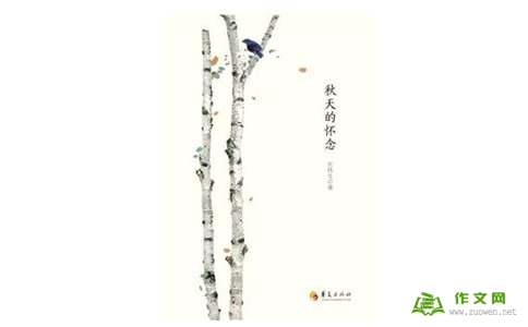 乌鸦Revil记得_550字