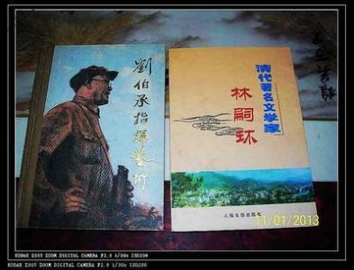 林毅戒指