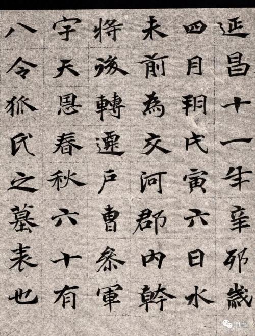 每日旅行_50字