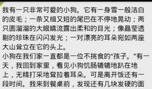 描写“泉水”的词语_100字