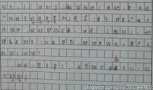 写景的好句好段摘抄（一）_1500字