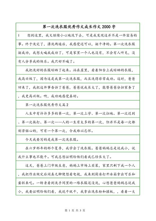 美丽的作品（1）_2000字
