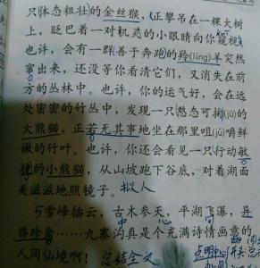 2015年，上海杨浦区是一个型号：这也是一个美丽的_900字