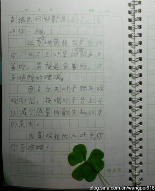 2014年长沙考试写作技巧：表征