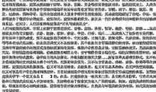 2015年上海市浦东区中考一模作文：那一刻，我停下了脚步_750字