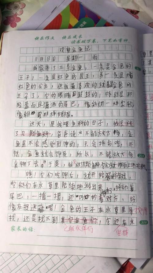 叙事成分：快乐捕捉藏身处_800字