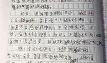 叙事作文：快乐捉迷藏_800字