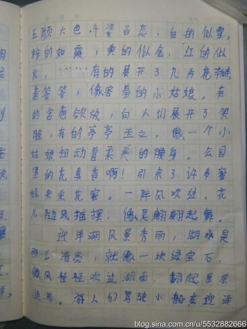 5月1日的组成：“5月1”见_1000字