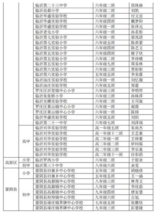 2014临沂中学检查写作技巧：剪影