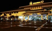 我在自由中得到快乐_650字