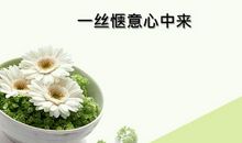 一丝惬意心中来_650字