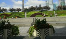 上海之旅_1500字