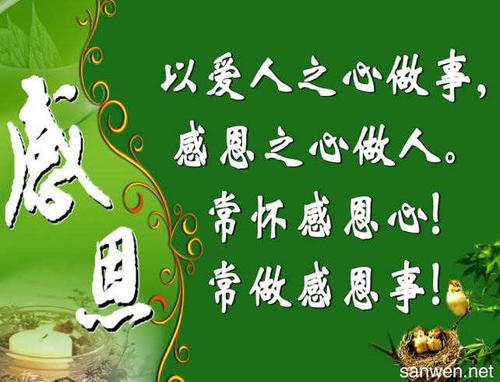 [感恩节文章]母亲爱_300字