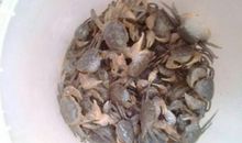 把生活中的“小沙子”过滤掉