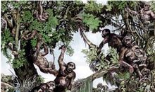 人类——大自然荒唐的主宰_800字