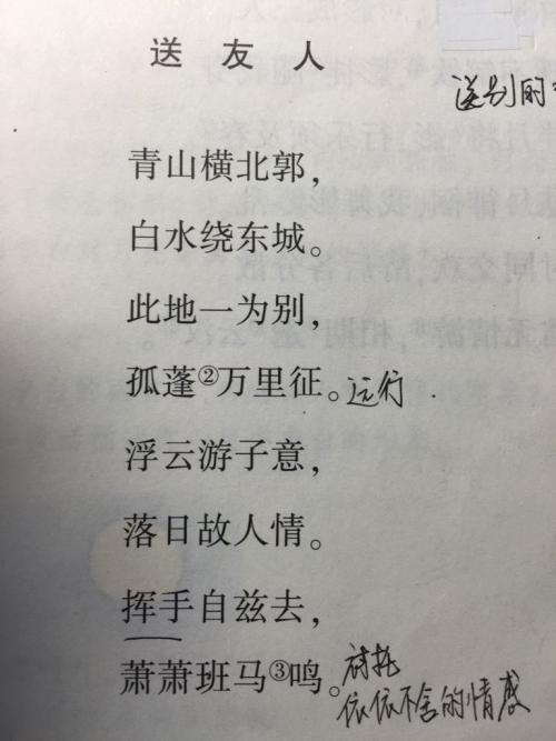 [感恩节文章]孤独李白_500字