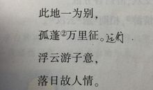 [感恩征文] 孤独的李白_500字