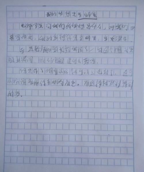 我的梦想_600字