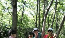 让生命笑得更灿烂_500字