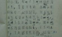 2017-2018二年级期末作文：光明华侨农场春游_350字