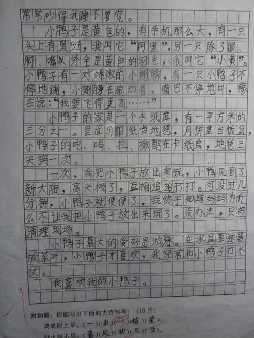 2017-2018第二年结束：春季巡回赛_300字