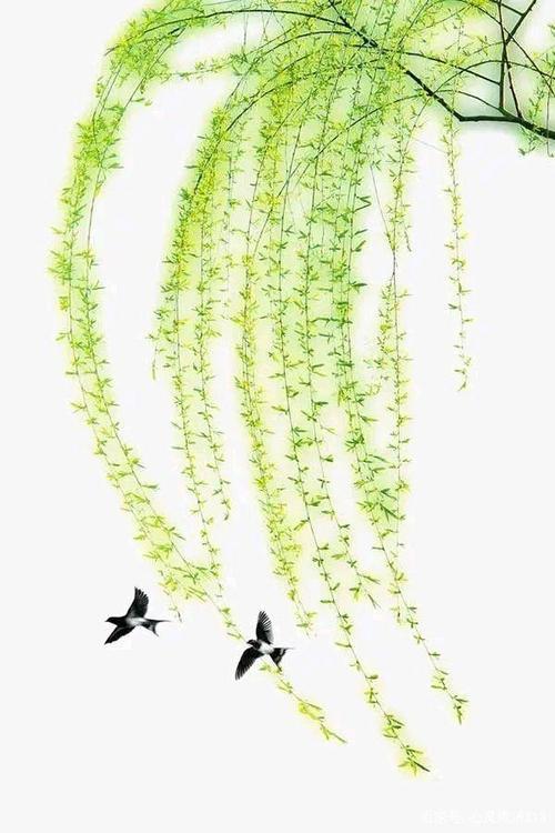 珍惜生命的每一分钟_400字