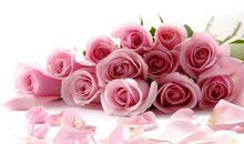 [感恩征文]舍弃开的花_700字