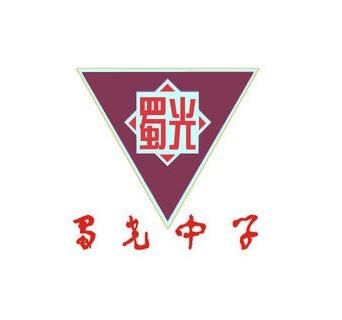 严重程度
