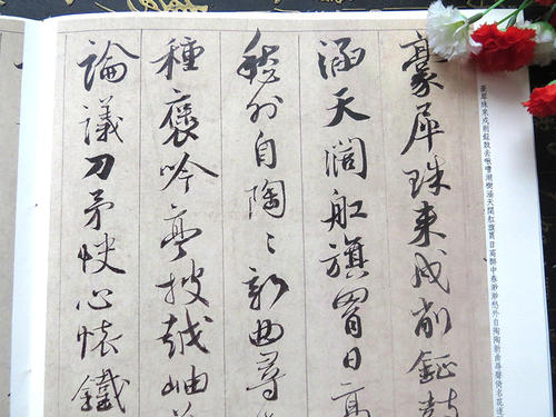 冯珍珍
