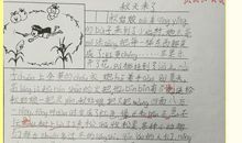 2019二年级期末作文：绚丽多彩的秋天_200字