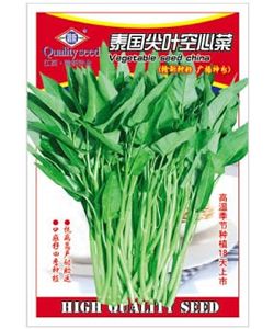 加油的心_250字