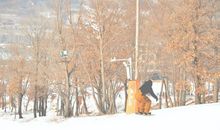 [喝彩征文]为自己喝彩_1200字